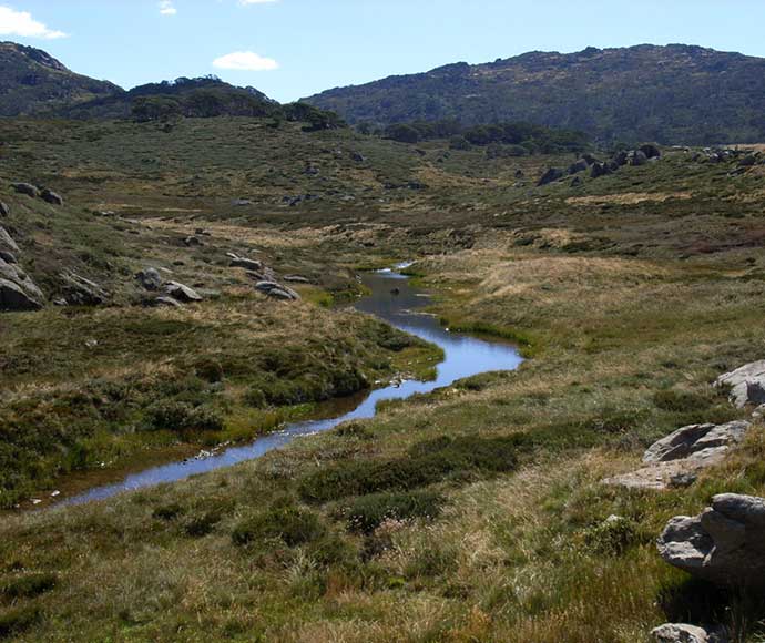 Murrumbidgee River Upper Catchment area with a winding river amidst grassy fields and rocky hills under a clear sky.