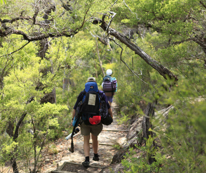 Two bushwalkers on a trail in a dense, natural forest setting. The foreground features the back of one bushwalker wearing a blue shirt and carrying a large backpack with a red item attached to it. The second bushwalker is further ahead on the trail, also carrying a backpack.