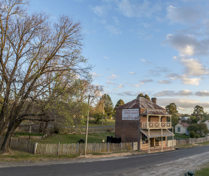 A tree-lined dirt road at Hill End Historic Site, flanked by tall eucalyptus trees with dense green foliage arching overhead. The road is shaded by the trees, creating a peaceful, tunnel-like effect as it winds gently into the distance. Sunlight filters through the leaves, casting dappled light onto the ground, while a rustic wooden fence runs alongside part of the road. The scene is calm and serene, capturing the natural beauty and historic charm of the area.