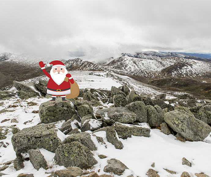 Mount Kosciuszko Summit, Kosciuszko National Park