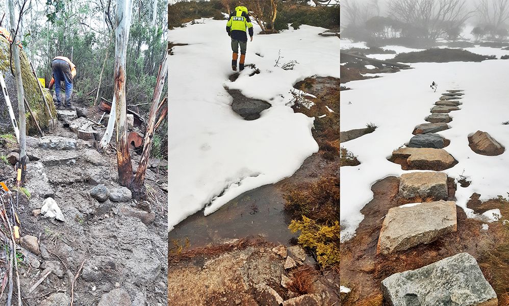 Snowies Alpine Walk - Stage 4 progress final 