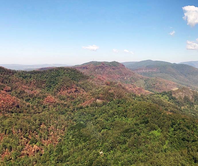 Mount Nardi in Nightcap National Park, displaying the aftermath of a fire with charred trees and scorched earth amidst a recovering landscape.