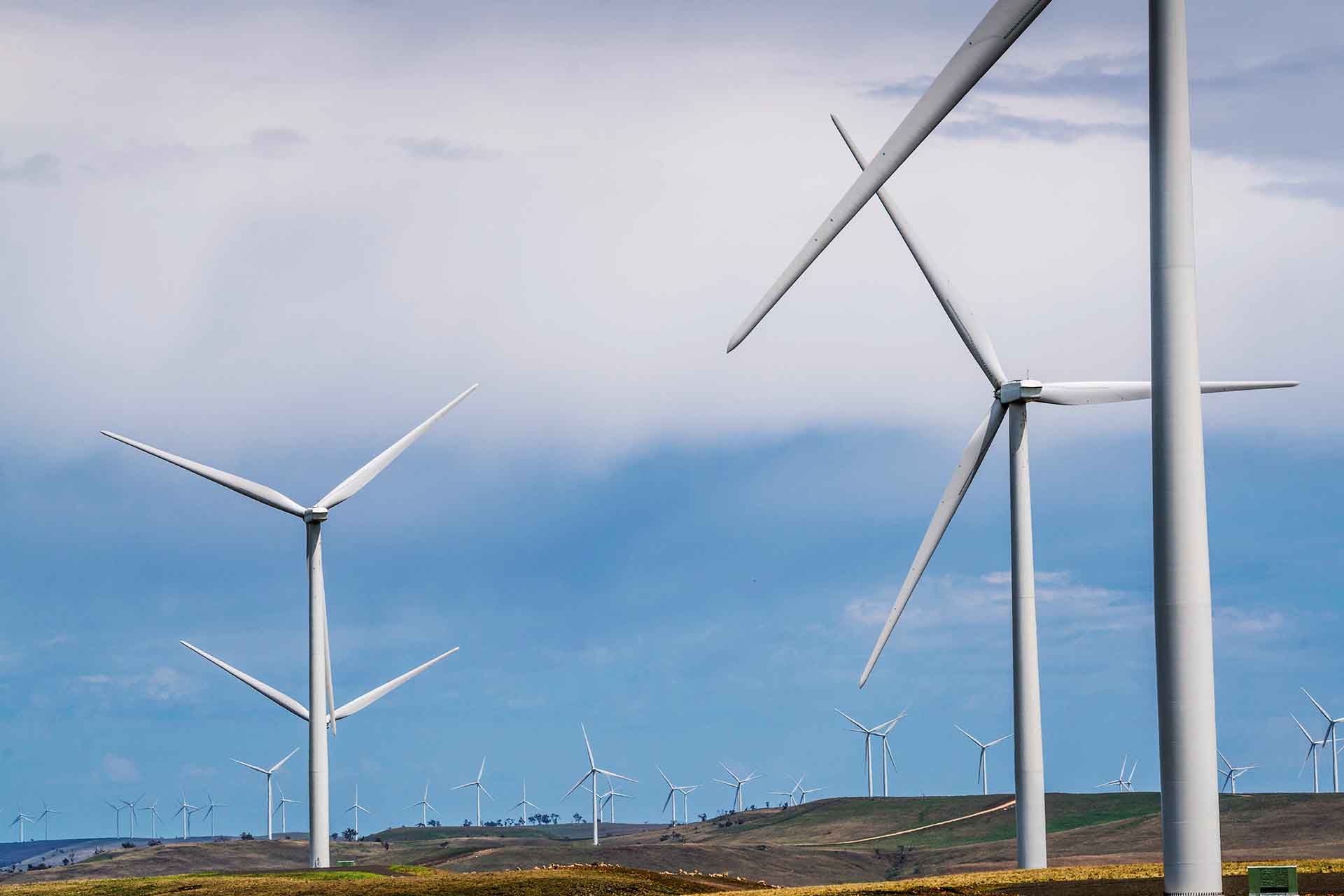 Windmills in green field