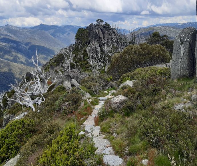 Stepping stones form part of the track between Charlotte Pass and Perisher, Snowies Alpine Walk
