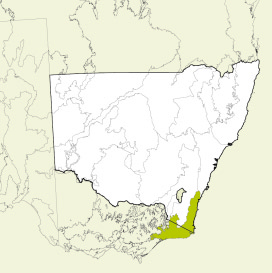 Map of New South Wales, Australia, highlighting the South East Corner bioregion in green. The rest of the state is shown in white, with some geographical features like rivers and mountain ranges outlined.