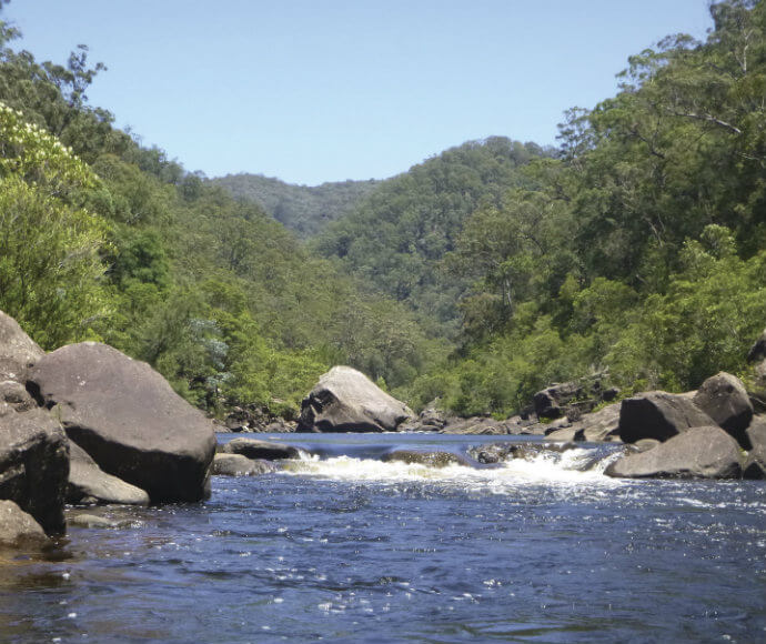 "A view of the Grose River flowing through Blue Mountains National Park. The river is surrounded by lush green forest and large rocks, with hills visible in the background under a clear blue sky.