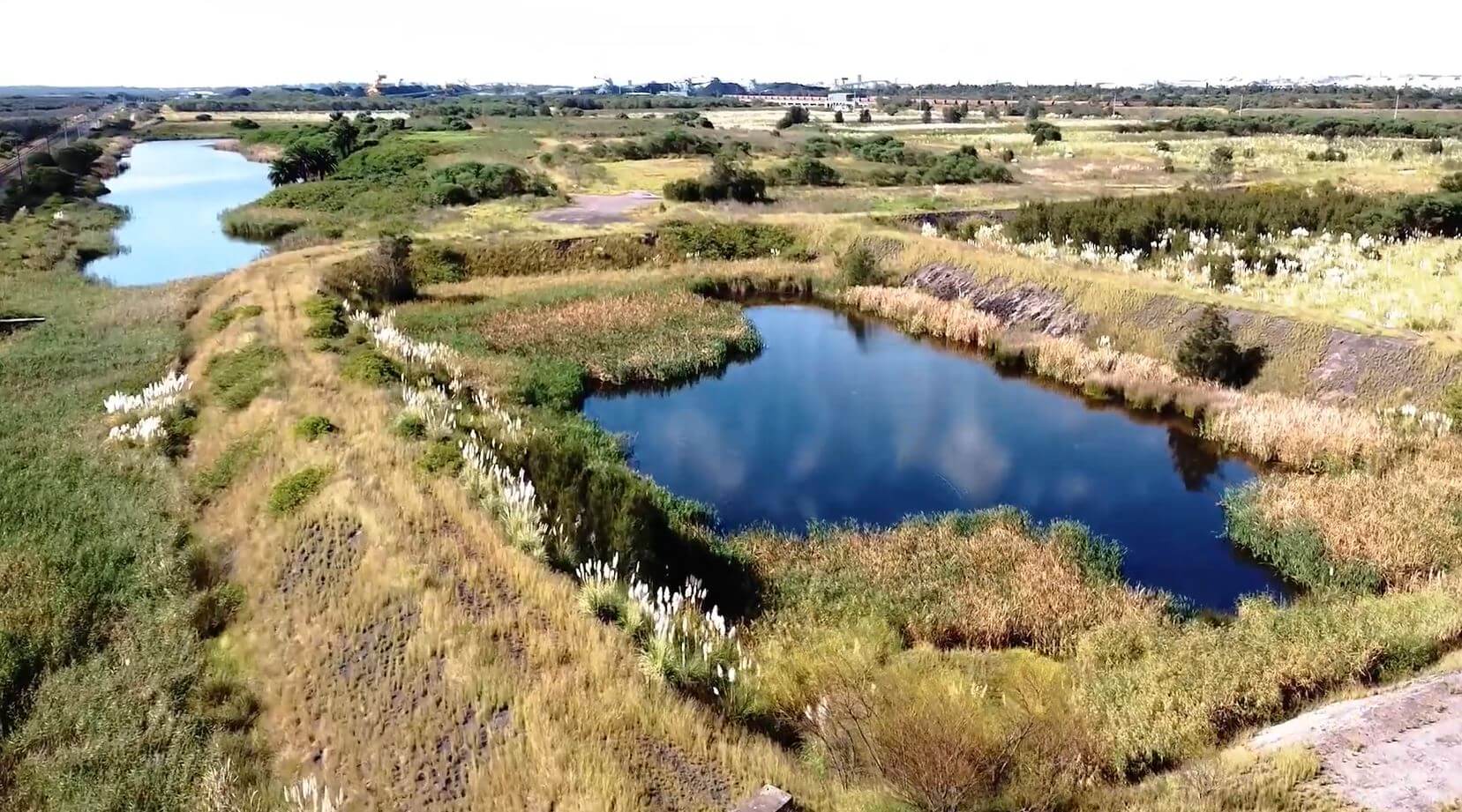 A body of water surrounded by wild grasses, with an industrial port in the background.