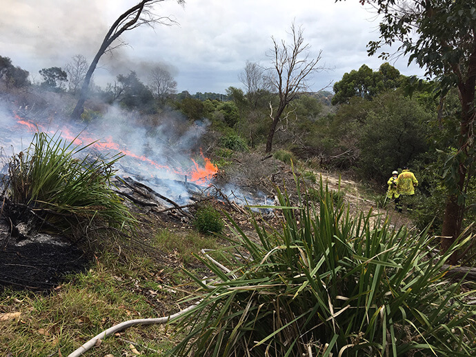 A small fire on the side of a hill with some ESBS vegetation and two council rangers wearing high-vis vests making sure it is managed.