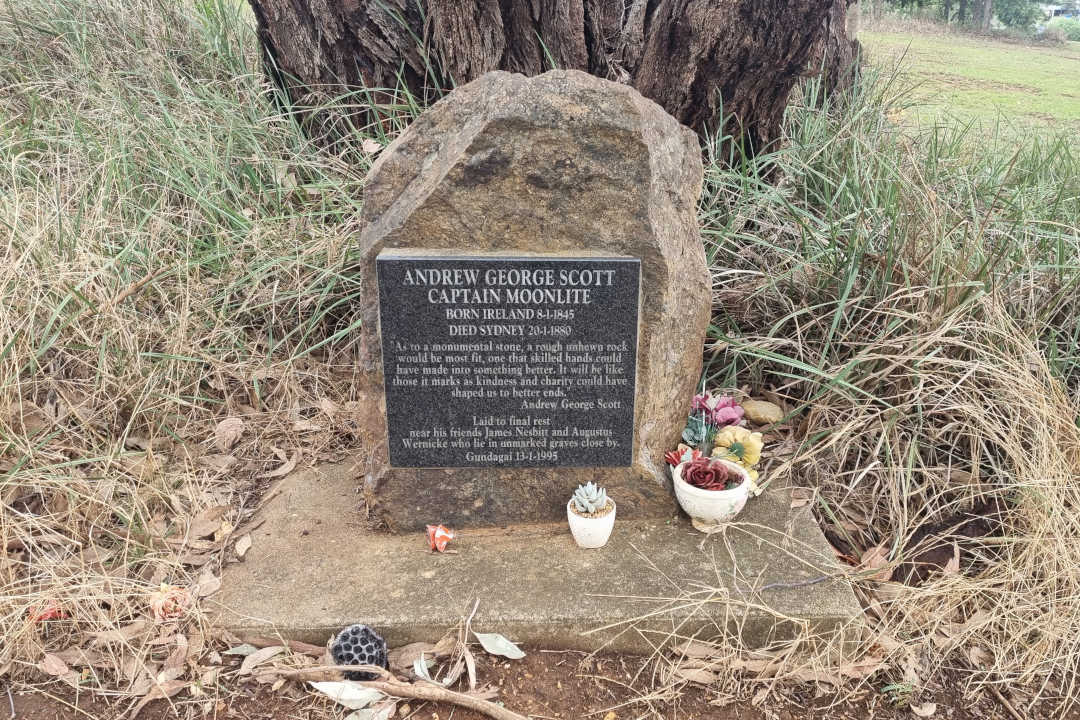 Grave plaque attached to a rough, unhewn stone. It is in front of a tree and surrounded by wild grass. There are some memorial plants and flowers around the gravestone.