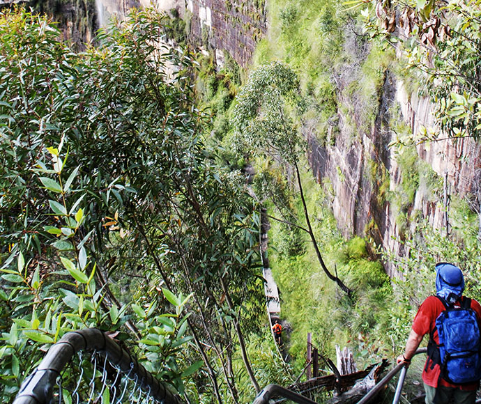 Bushwalker wearing backpack descending steep stairs nestled between trees and a cliff face.