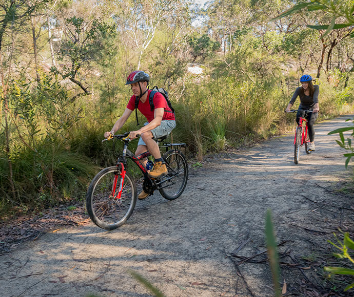 Two mountain bike riders going along the Garigal National Park bike track, surrounded by a dense forest.
