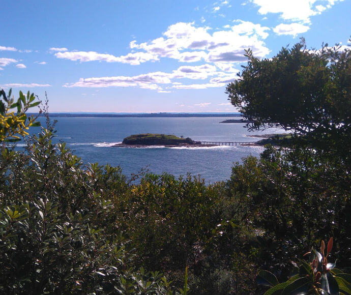 Photo of Bare Island viewed from the Henry Head walking track in Kamay Botany Bay National Park. The view is from the top of trees, which cover the bottom half of the image, giving the impression of peeking out from the treetops.