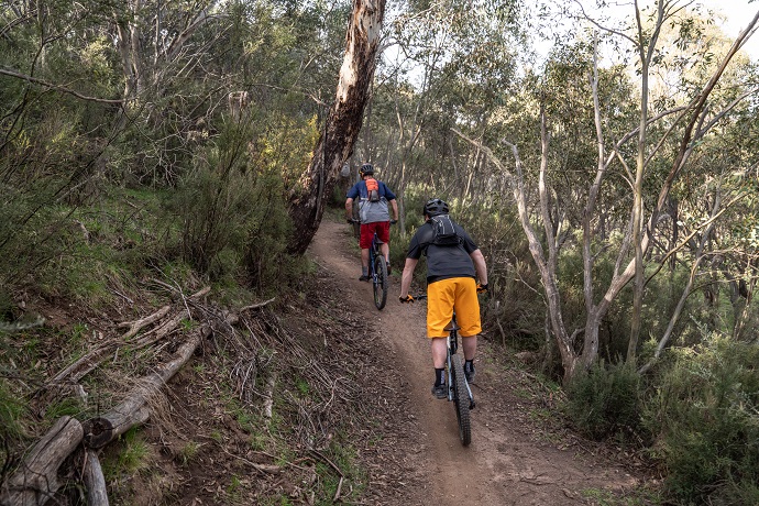 Two people riding bicycles on a narrow dirt trail through a wooded area. The person in the foreground wears a yellow shirt and black shorts, while the person in the background wears a blue jacket and red backpack. Trees and shrubs line the path, and there is a tree with peeling bark on the left. The setting appears to be during daytime with natural light filtering through the foliage.