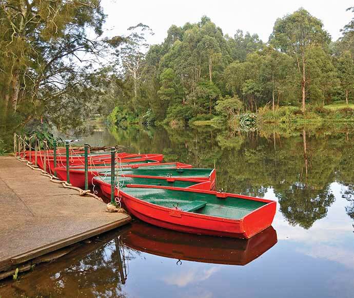 Red row boats tied up to the dock in the river at Lane Cove National Park.