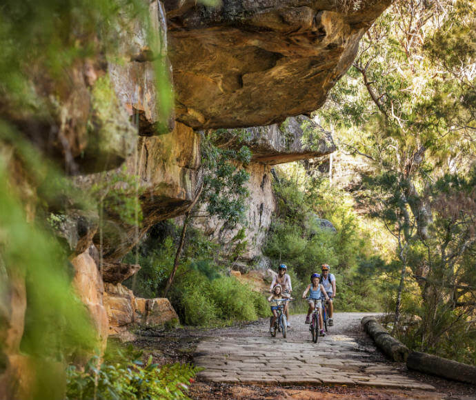 A family enjoying a bike ride along a paved path with a cliff hanging over it and lush green forest all around.