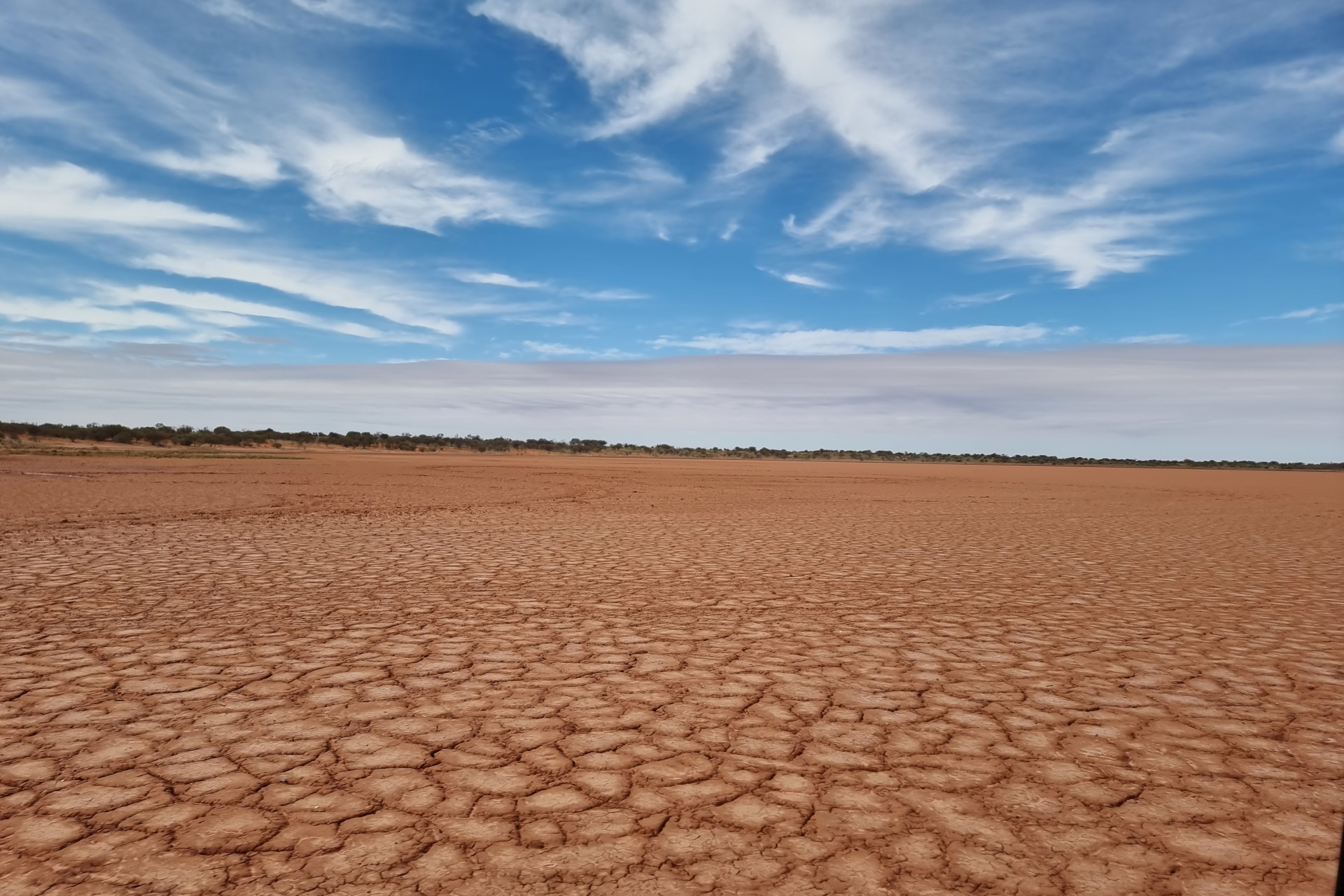 A vast, dry, cracked desert landscape under a bright blue sky with scattered white clouds. The ground is covered in a network of cracks caused by extreme dryness. The horizon shows a thin line of vegetation.