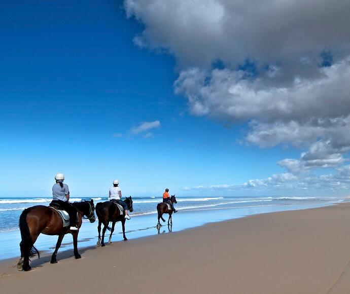 3 people riding horses along the beach at Worimi Conservation Lands.