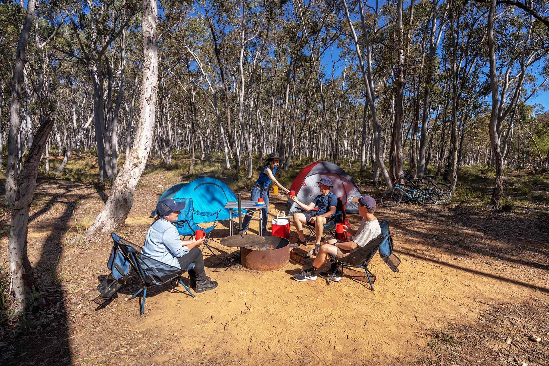 Several people in camp chairs sitting around a campire, tents in background