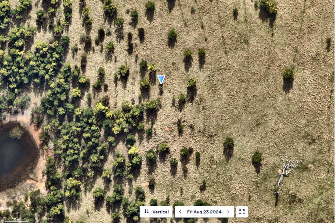 An aerial photograph of what was, 4 years earlier, a barren-looking landscape around some dirt roads, with a smattering of greenery close to a creek. Now, the dirt roads are gone and the greenery is much thicker and more plentiful, both near the creek and smattered across the landscape. 