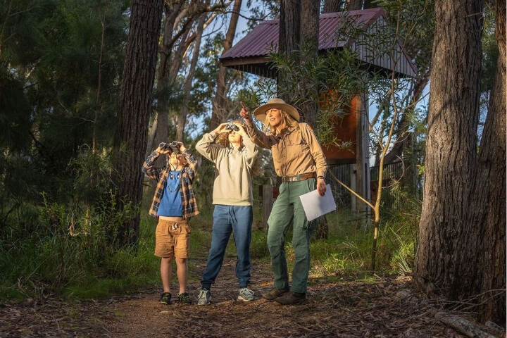 In a clearing in a forest, a NSW National Parks and Wildlife Service ranger is pointing to something high above, beside 2 children who are following her line of sight with binoculars