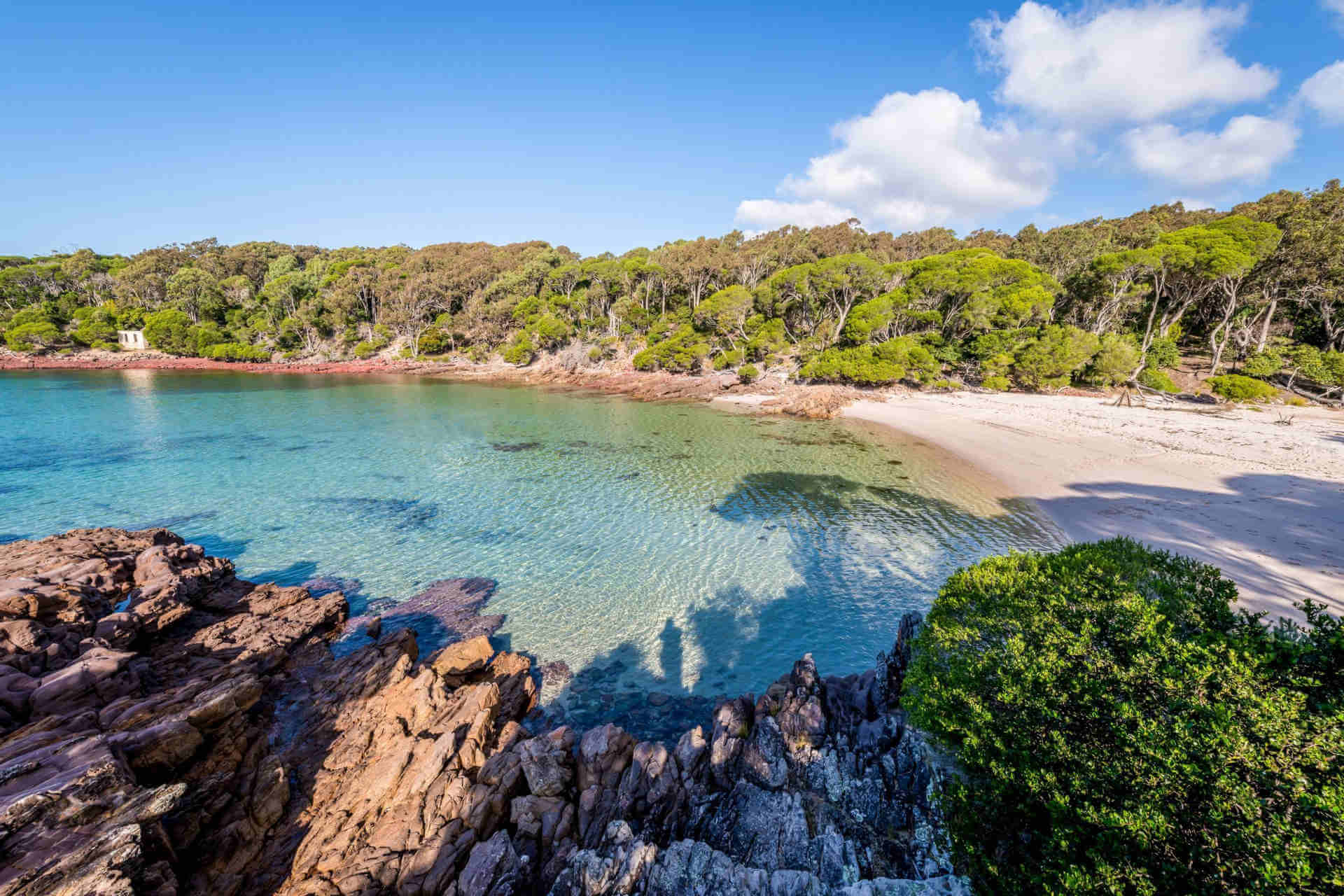 Bittangabee Bay featuring clear turquoise waters, a sandy beach, and surrounding dense greenery with rocky outcrops under a blue sky with scattered clouds.