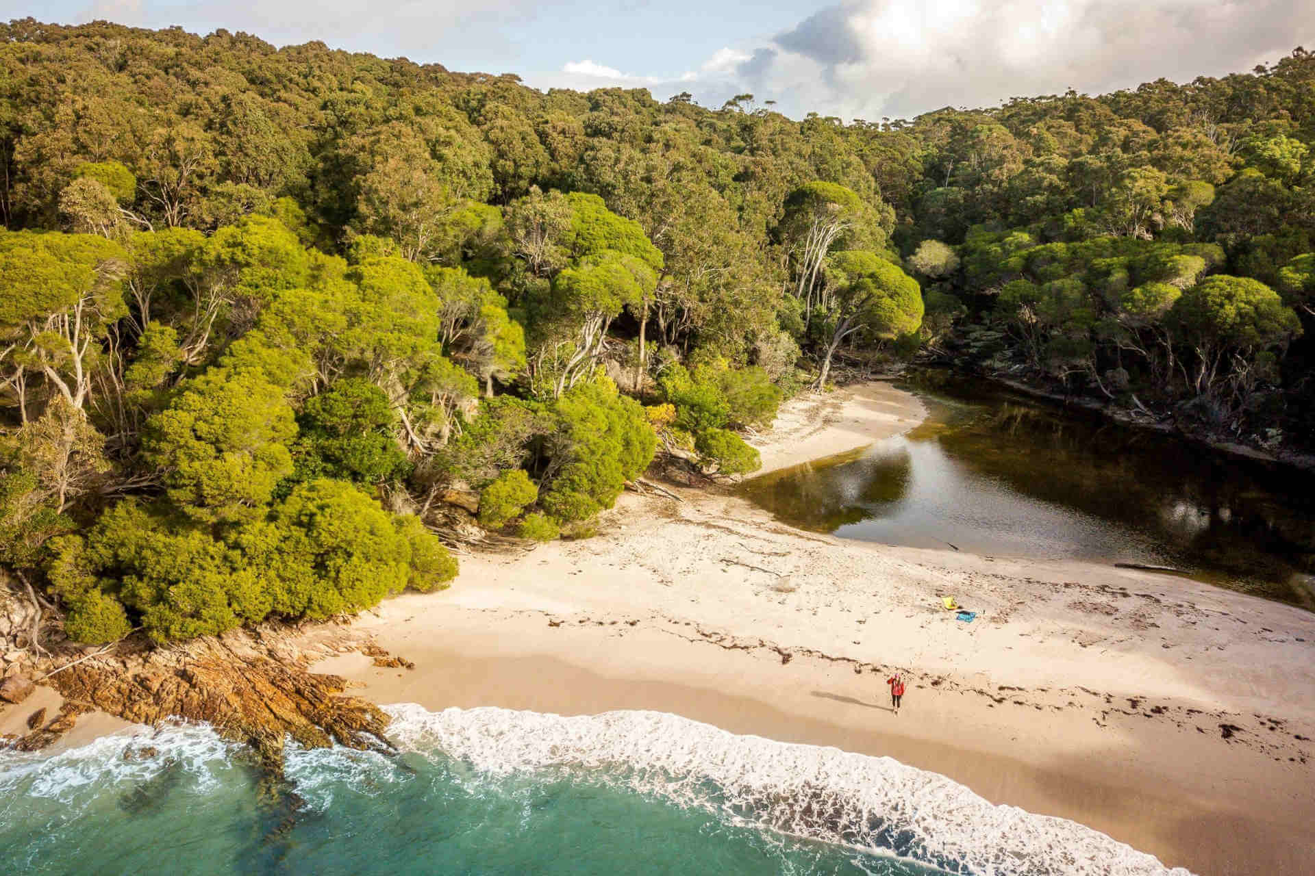 A freshwater lagoon and the turquoise-watered seashore separated by a thin bank of sand, surrounded by vivid green gumtrees
