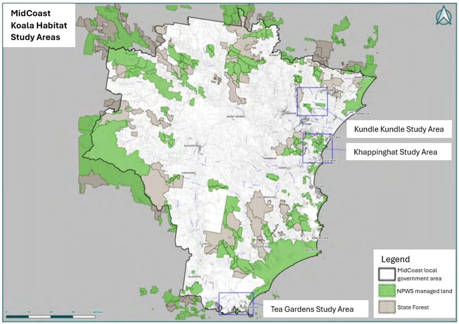 MidCoast Council koala habitat study areas map