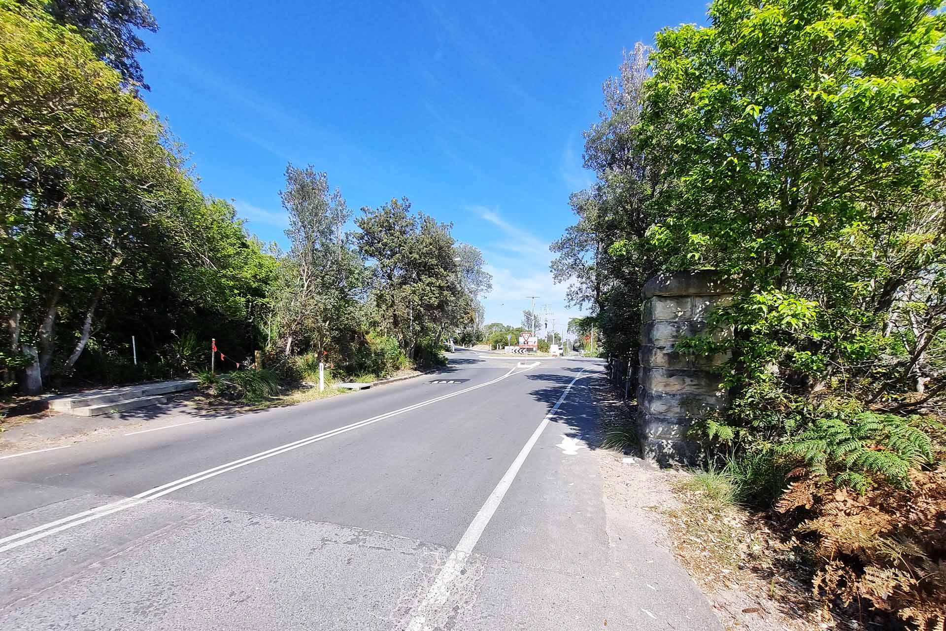 View of a roadway bounded by rees on both sides.