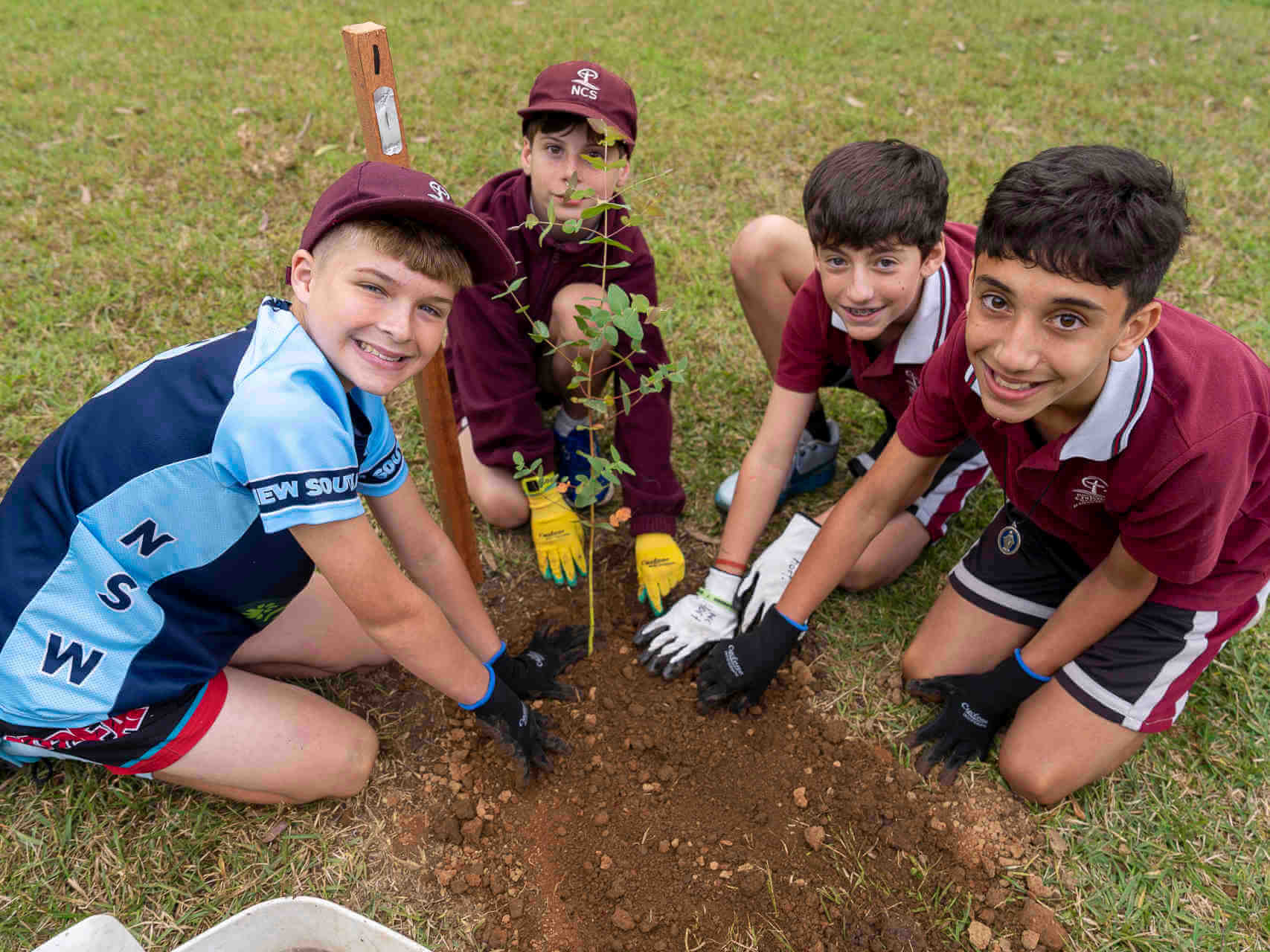 Four Nepean Christian College students helped save critically endangered gum