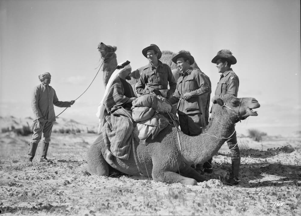 Black and white image of 5 men and two camels. 3 men are dressed in military uniforms as they talk to a man on the camel. The other man is in the background holding the leash attached to the second camel.