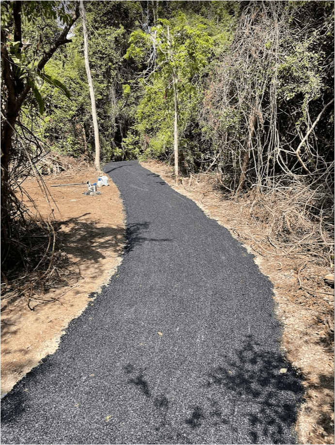 A bitumen path cleared of vegetation, stretching towards distant trees
