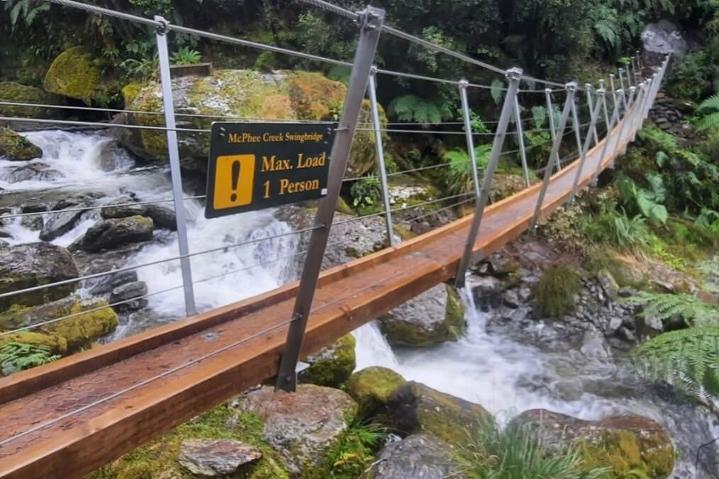 A narrow timber and steel suspension bridge over a creek in a rainforest