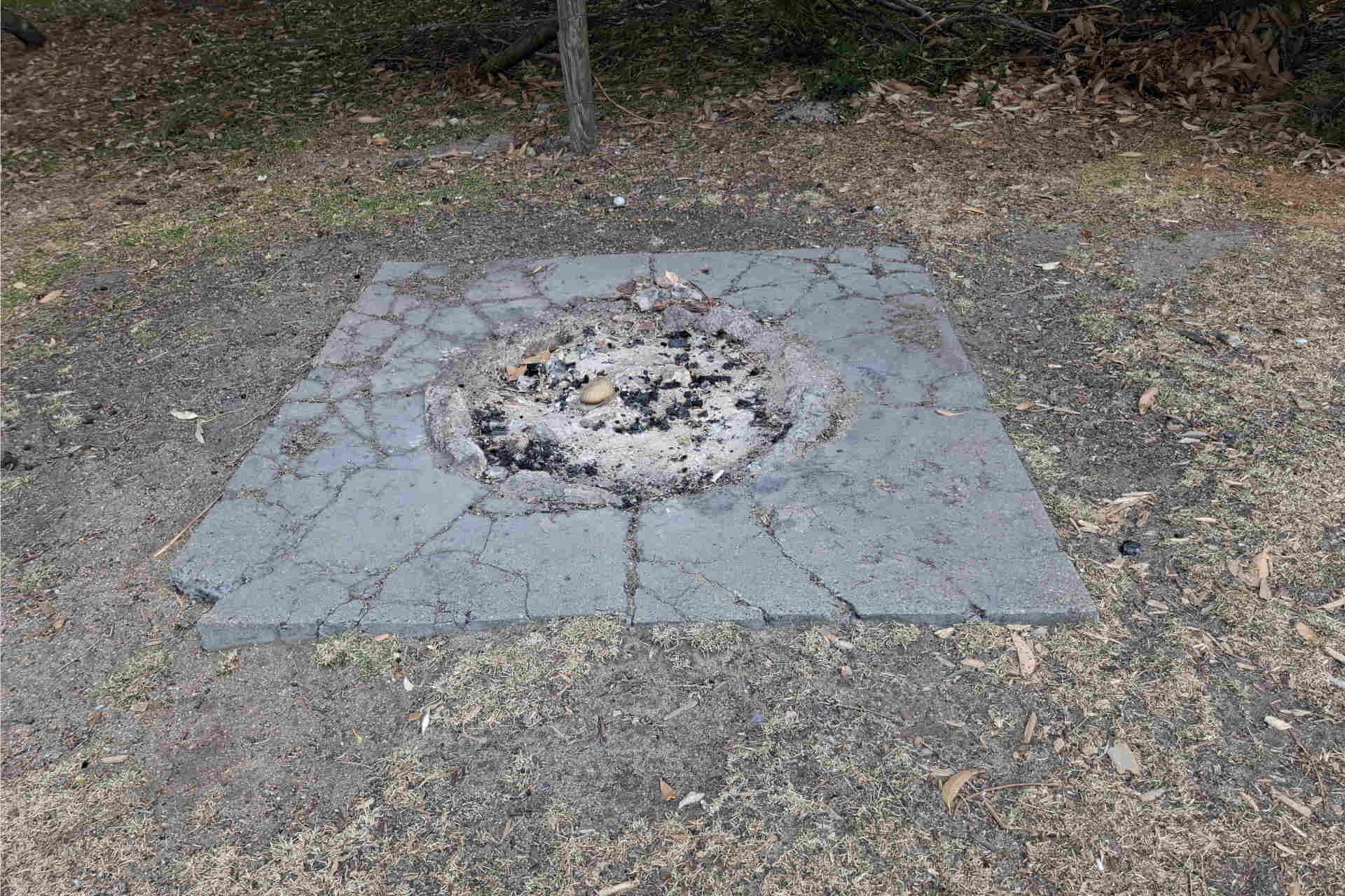 In a clearing, a wide stone tile on the ground with a circle of ash at the centre – presumably, a fire pit
