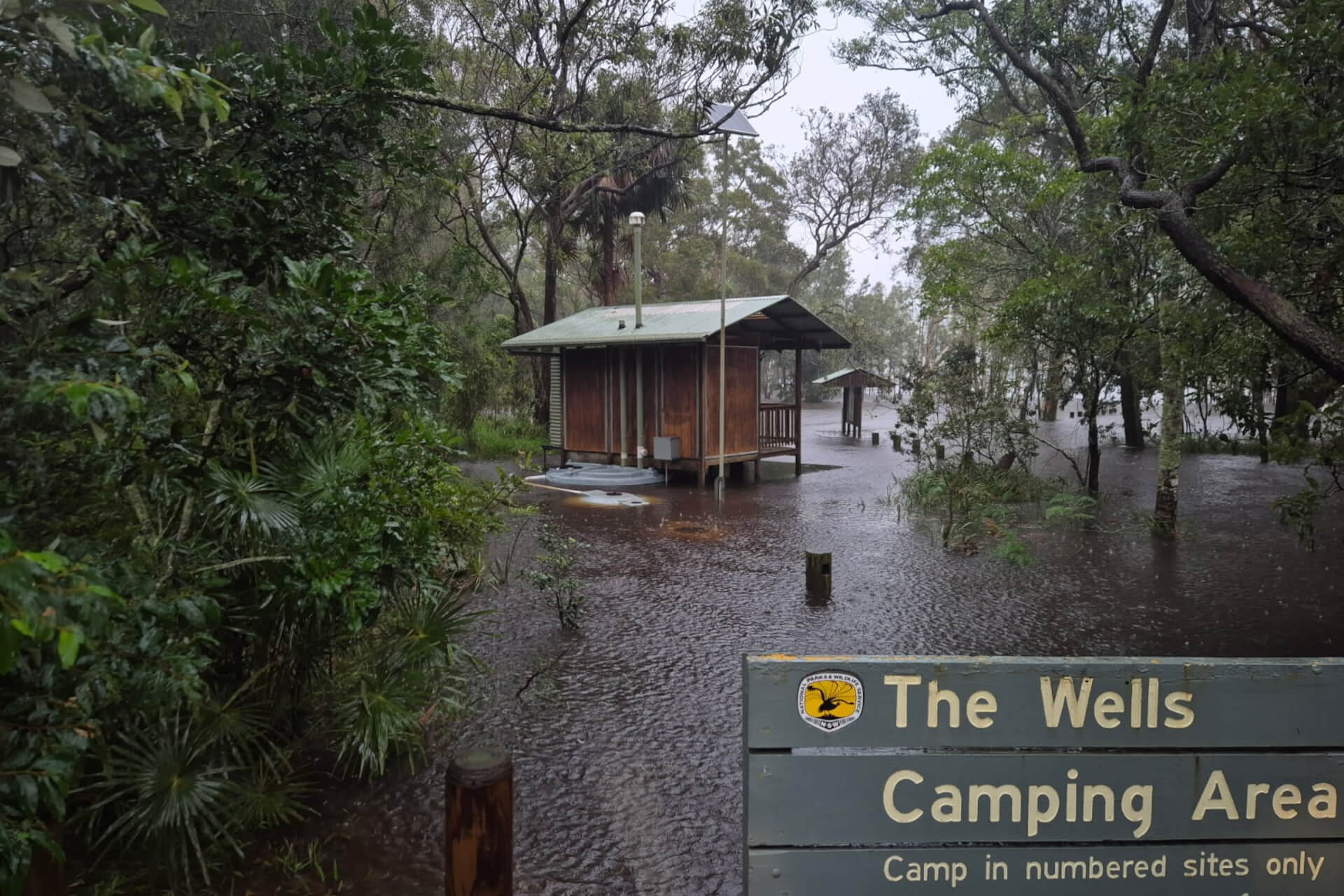 Cabin among trees at the flooded Wells Campground in Myall Lakes National Park