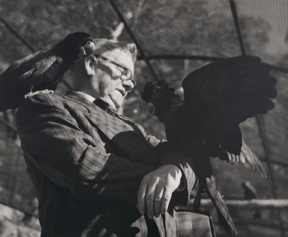 Black and white image of a man in a pinstripe suit with a cockatoo on his shoulder and another on his left forearm.