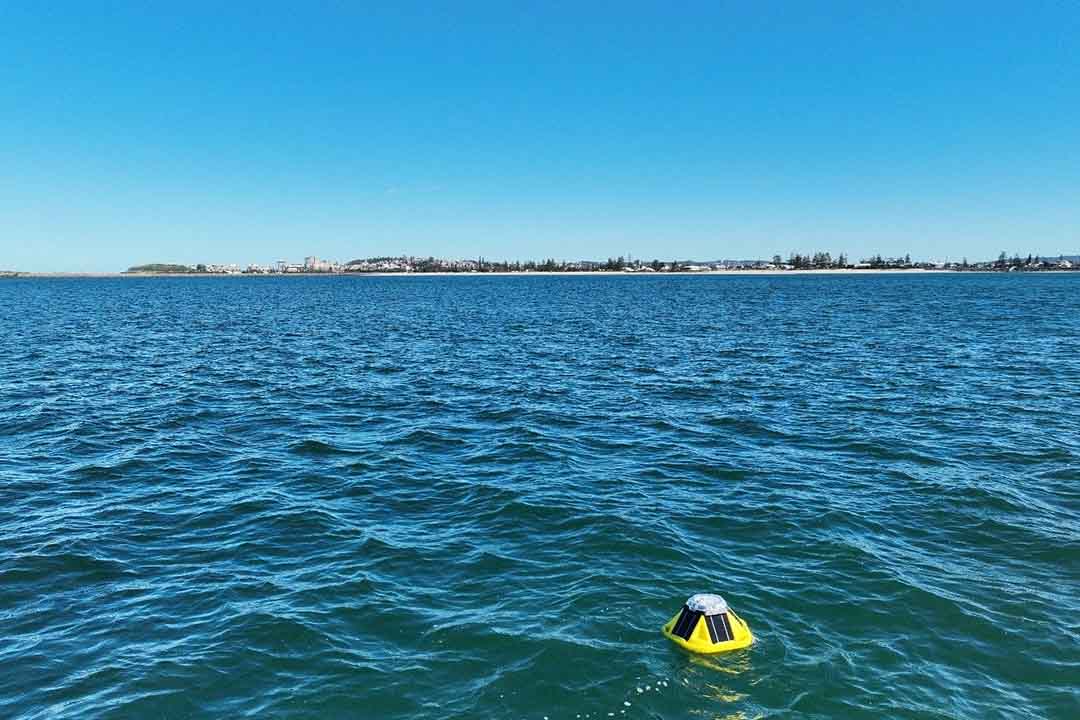 A small yellow buoy bobs on blue water.