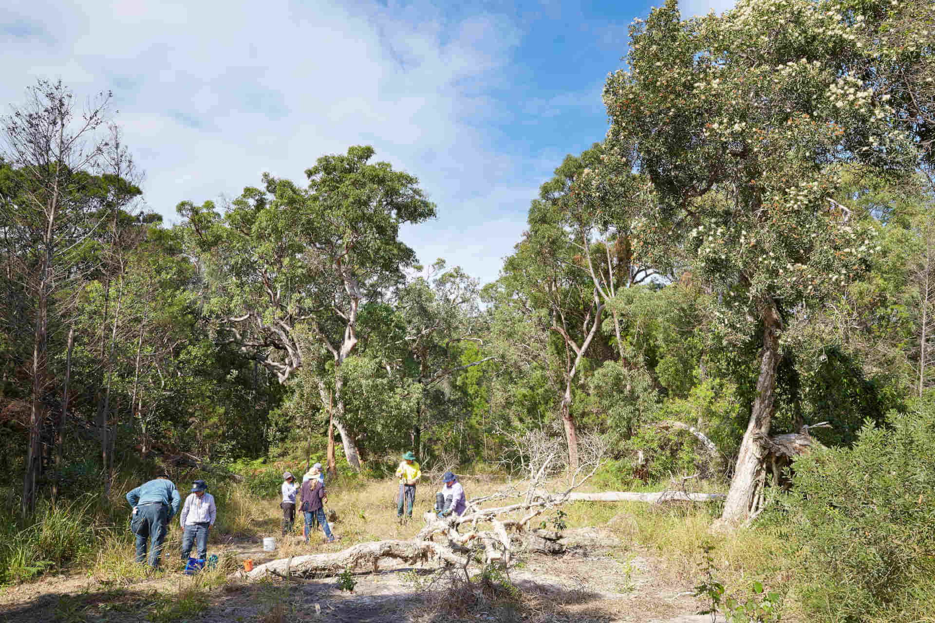 A group of 7 people in long-sleeved, full-length sunsafe bush-safe clothing and hats in a small clearing among trees and scrub