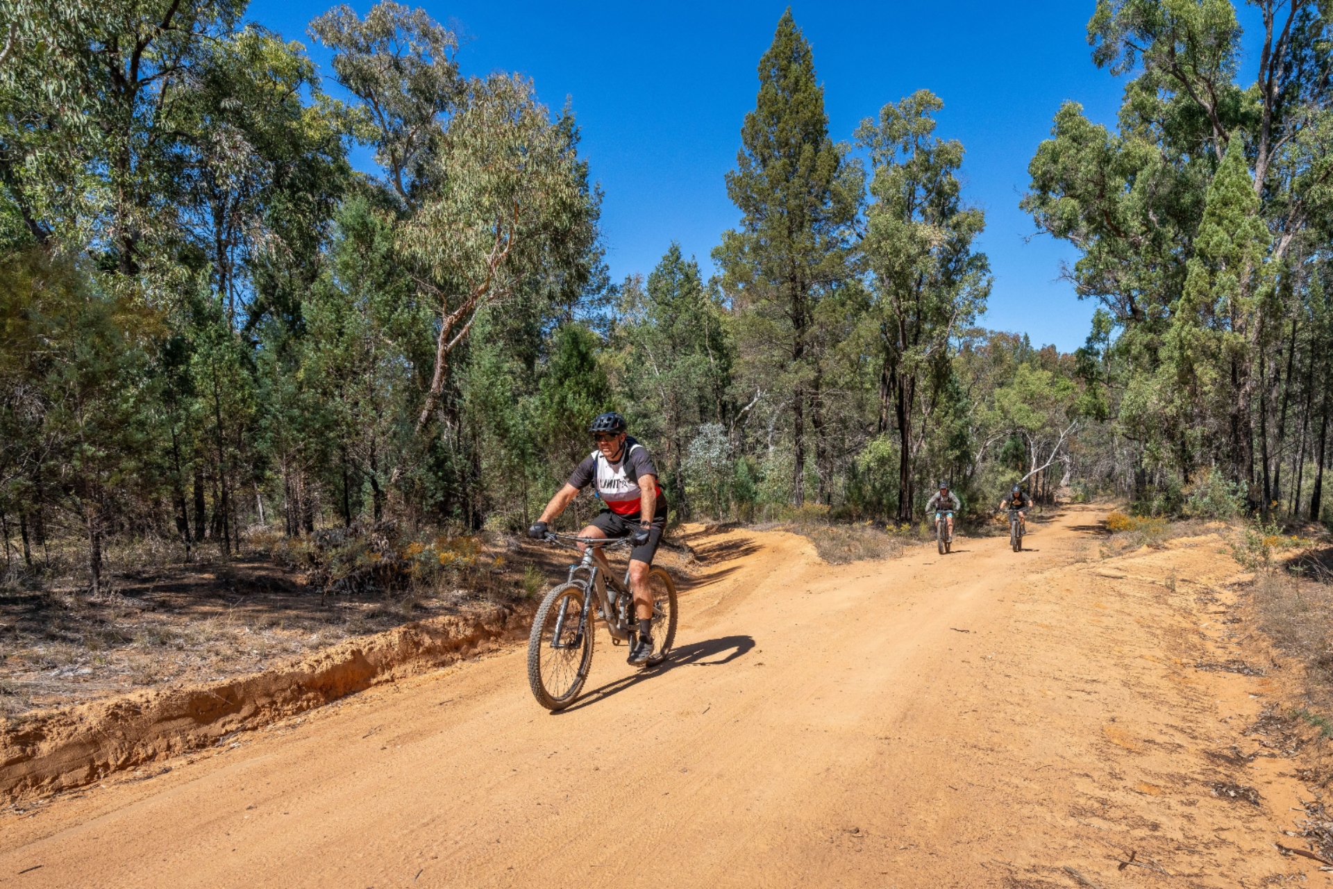 Three people ride mountain bikes along a dusty unsealed road flanked by trees