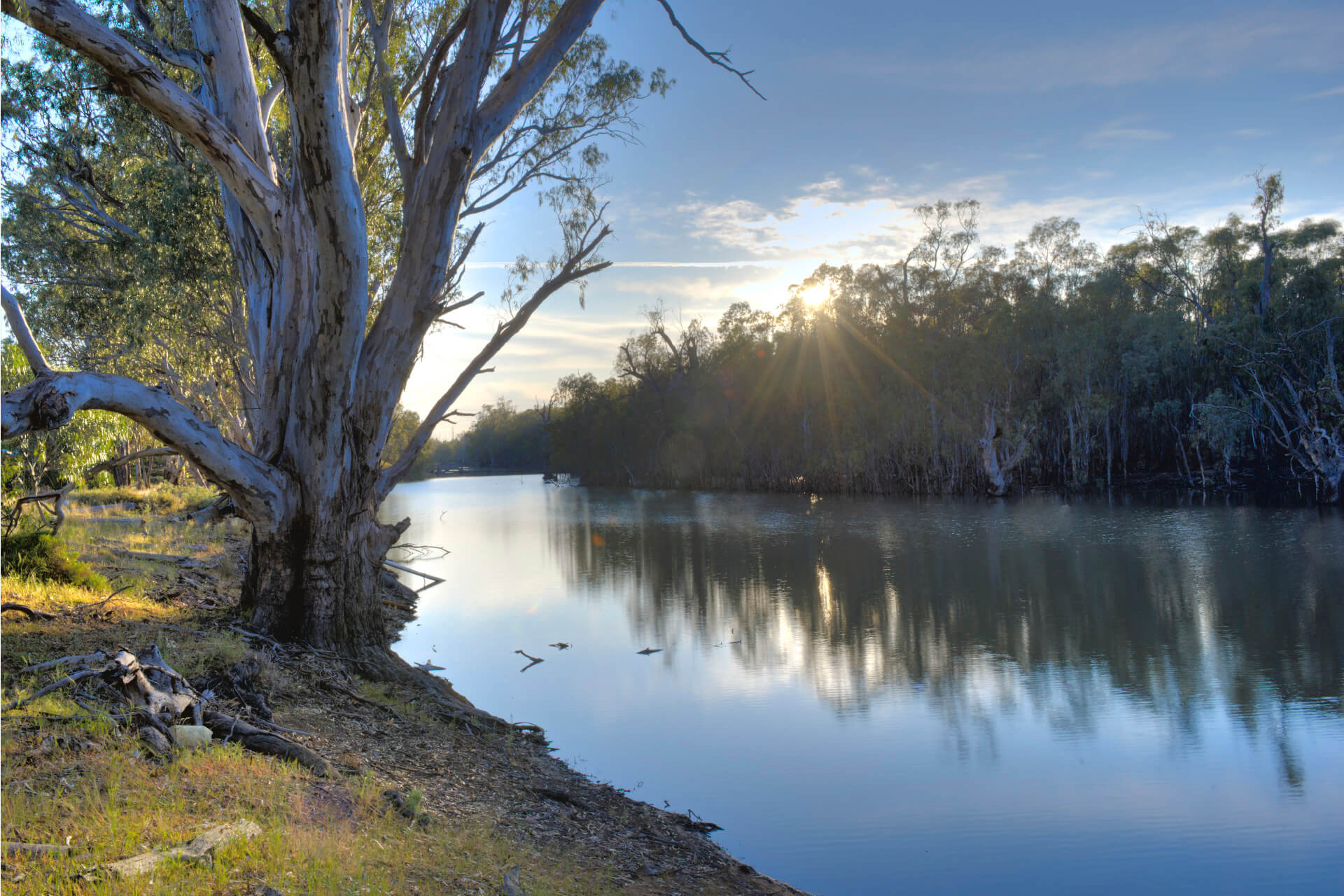 Peaceful scene at Moona, with calm water reflecting trees and sky. A large tree stands on the left bank, and sunlight filters through trees on the right.