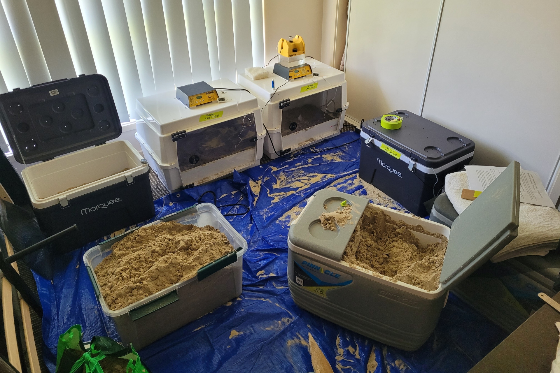 A small room housing turtle incubation equipment, including 2 large esky-type boxes filled with sand and eggs