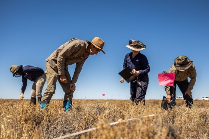 Four people inspect the ground in a dry grassland environment under a bright blue sky