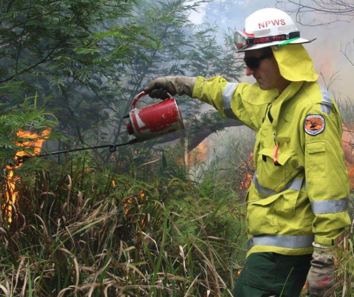 NPWS firefighter lighting bush for hazard reduction