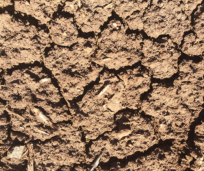 Close up view of cracks and grooves in soil