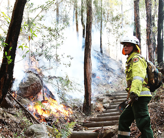 Staff from Metro South West and Blue Mountains regions undertaking the Pisgah Ridge hazard reduction burn near Glenbrook in the Blue Mountains National Park
