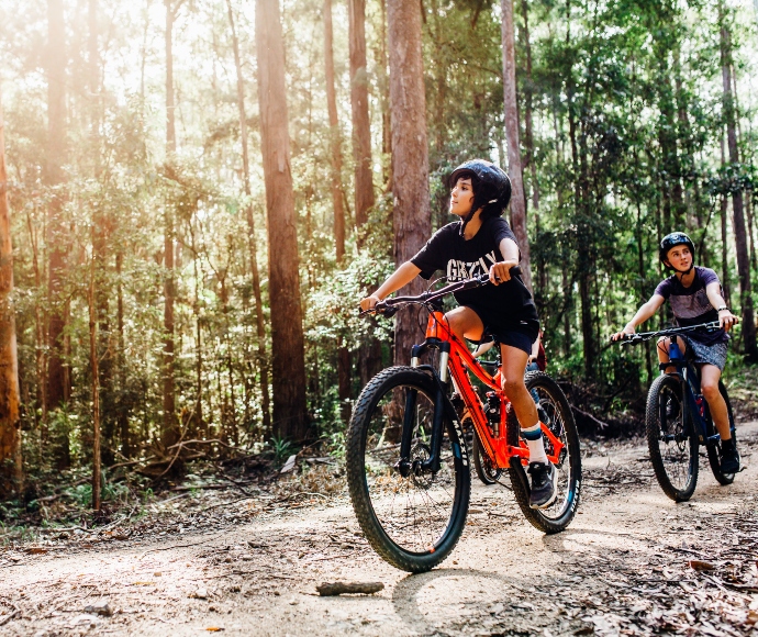 Mountain biking on Muurlay Baamgala cycle trails, in eucalypt forest at Bongil Bongil National Park, near Coffs Harbour