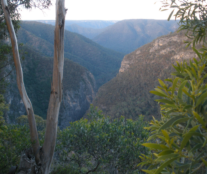 The view through the bush from Adams Lookout