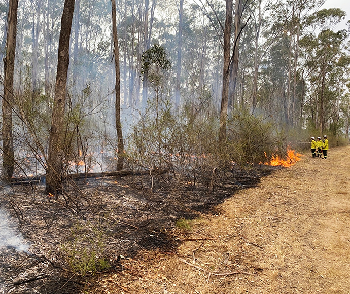 Staff in yellow protective gear observing a small fire in bushland