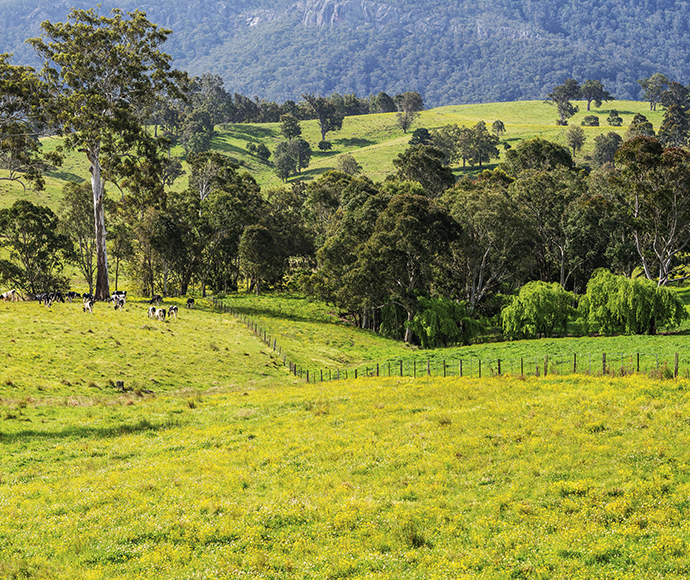 Farmland, NSW.