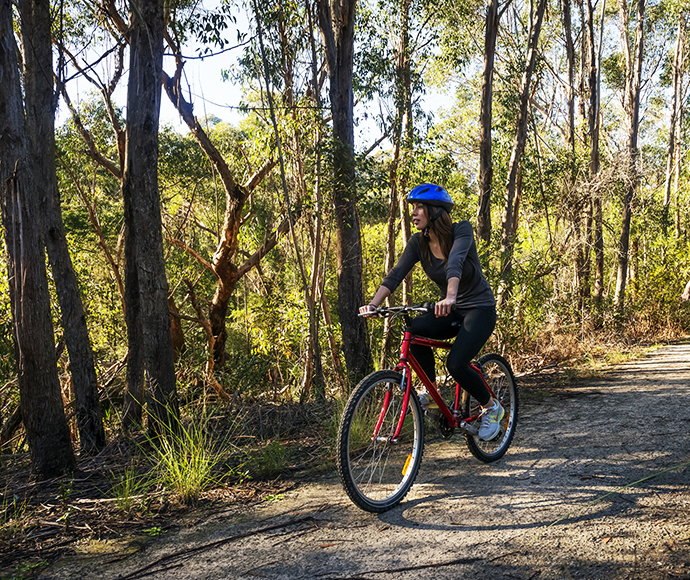 Mountain bike riders, healthy outdoor sports, Garigal National Park is a protected national park