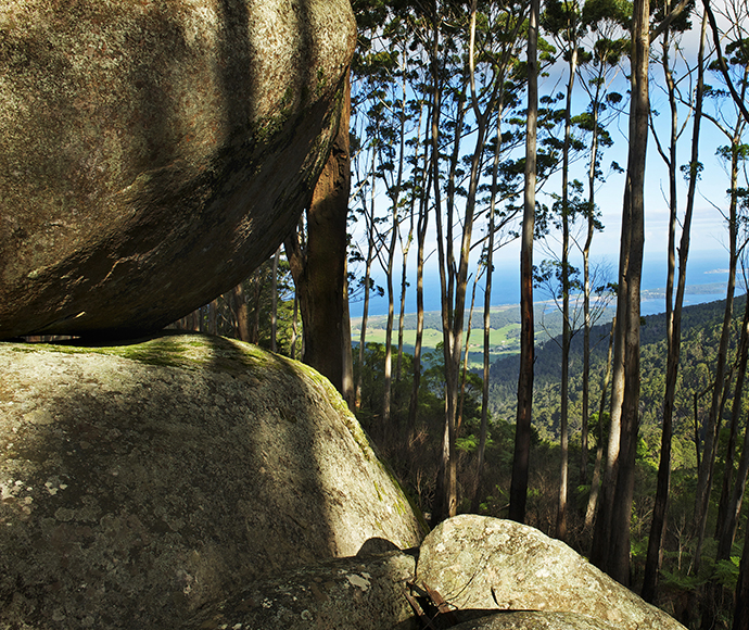View to the coast from the Granite Tors in Gulaga National Park